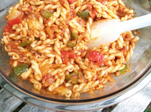 Gemelli Pasta and Sauce