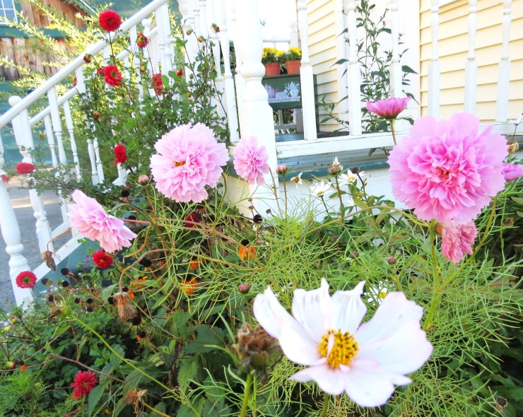 porch and flowers