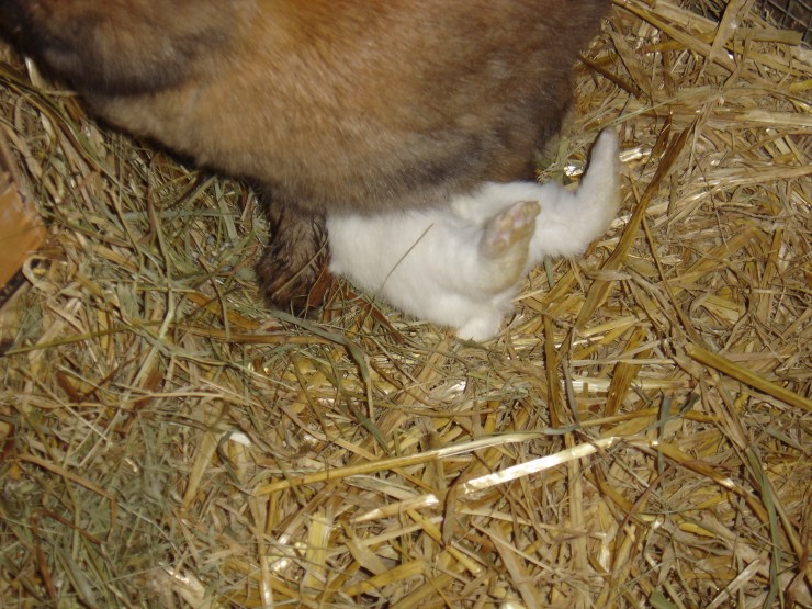 Ma, don't move, I'm still drinking!