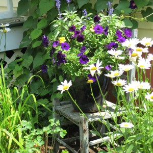 Antique Chair and Flowers - August 2015 - My Yellow Farmhouse.com