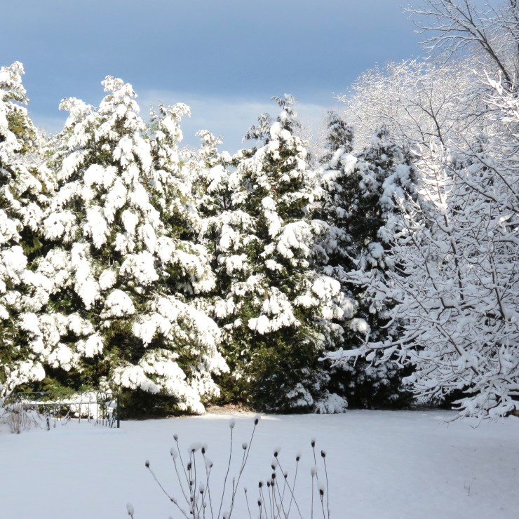 Winter 2016  - My Yellow Farmhouse.com